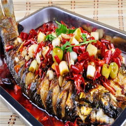 塔庫(kù)烤魚(yú) 創(chuàng)新烤魚(yú)產(chǎn)品全面解析與創(chuàng)業(yè)機(jī)遇